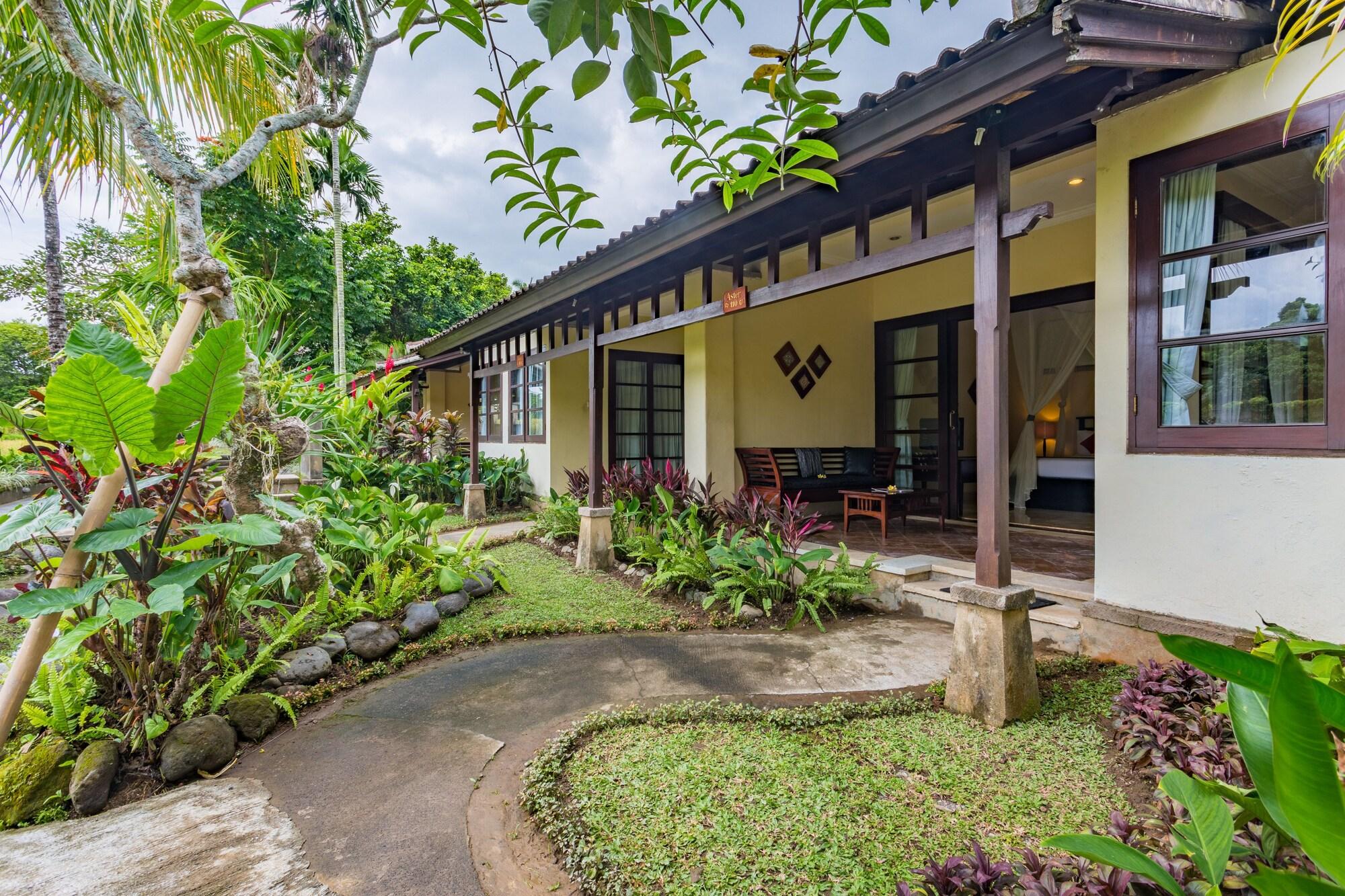 Resor Anini Raka Resort&spa 4*
