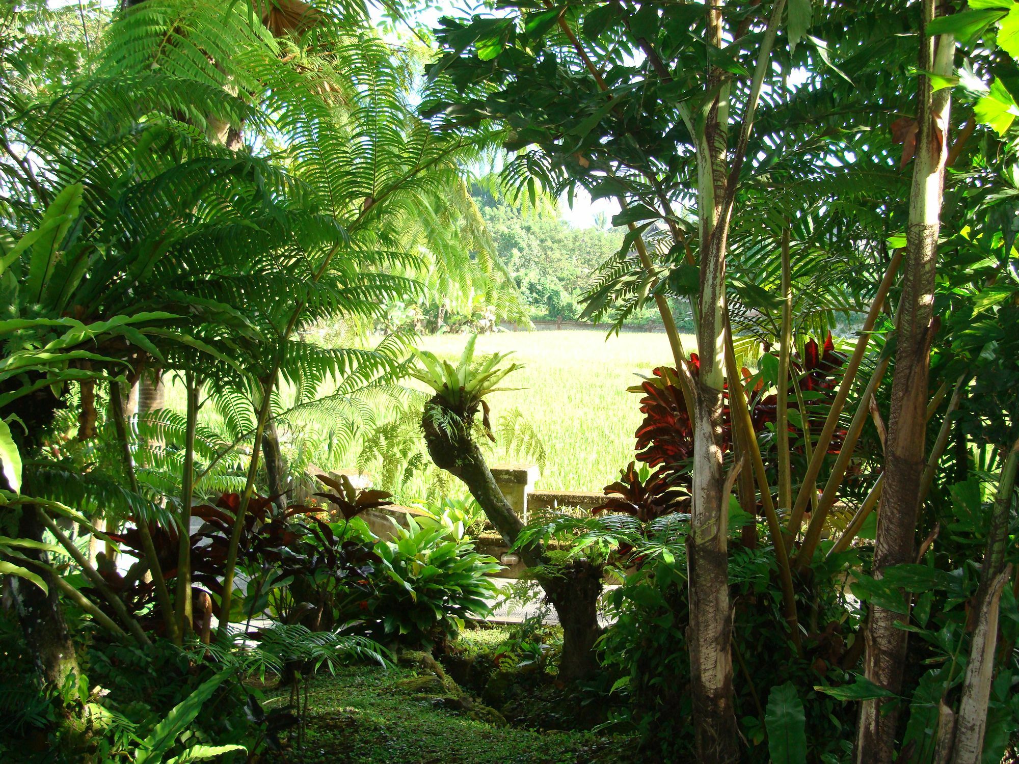 Anini Raka Resort&spa